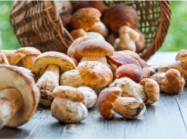 Mantar Kaç Kalori mantar kaç kalori