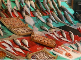 Balık Kaç Kalori balık kaç kalori