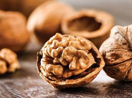 Ceviz Kaç Kalori ceviz kaç kalori