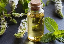 Nane Yağının Faydaları Nelerdir nane yağı faydaları nelerdir